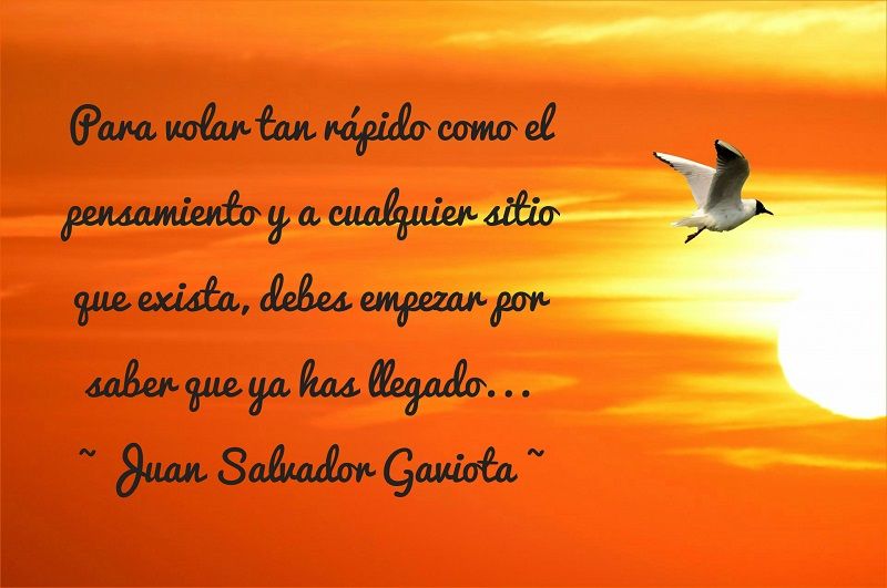 Frases inspiradoras de Juan Salvador Gaviota