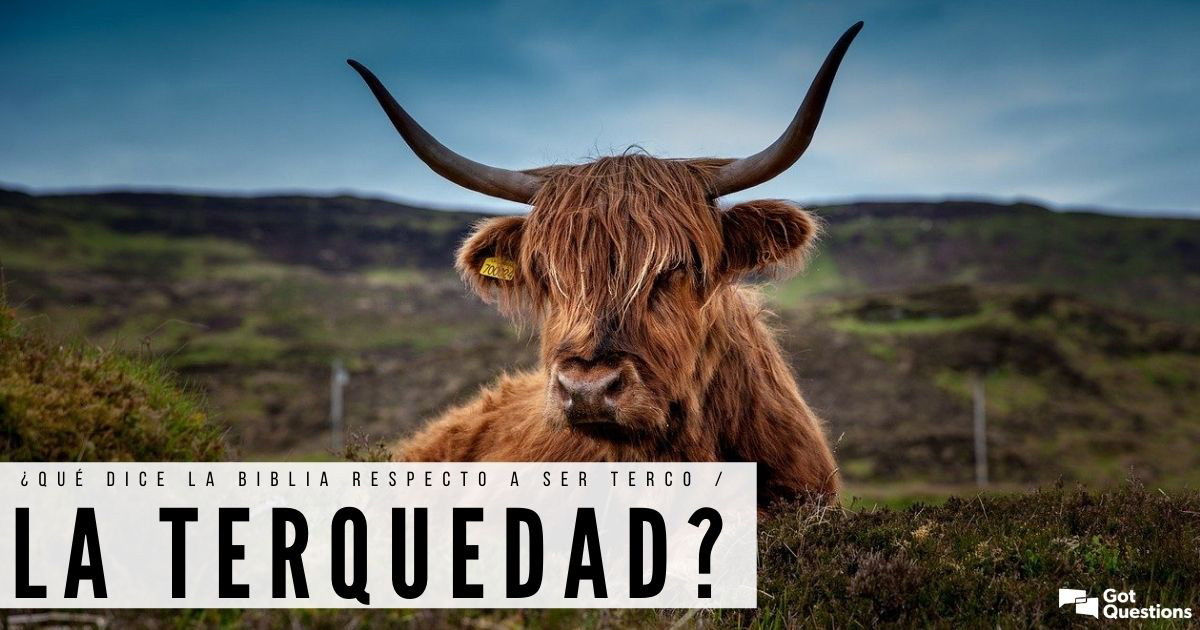 El significado de 'obstinado' en la Biblia